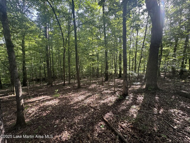 LOT7 Buckskin Ct, Dadeville, AL 36853 - photo 11