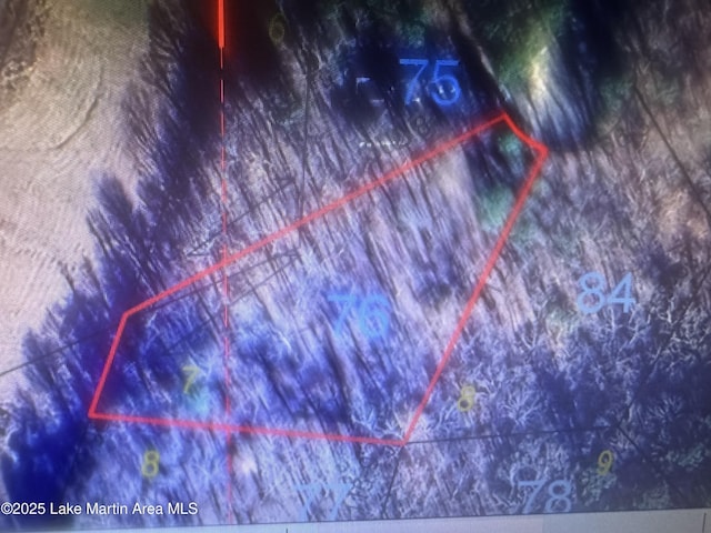 LOT7 Buckskin Ct, Dadeville, AL 36853 - photo 13