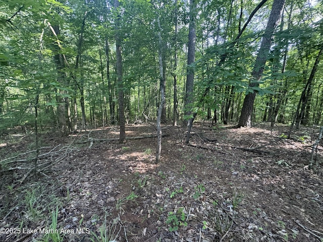 LOT7 Buckskin Ct, Dadeville, AL 36853 - photo 8