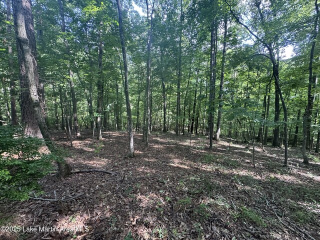 LOT7 Buckskin Ct, Dadeville, AL 36853 - photo 10