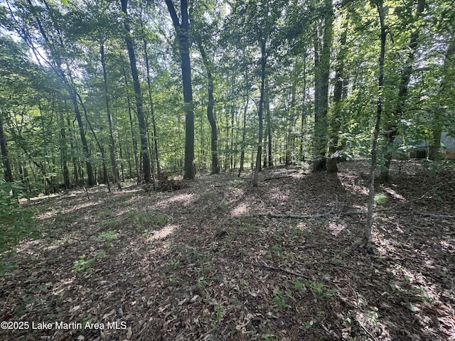 LOT7 Buckskin Ct, Dadeville, AL 36853 - photo 9