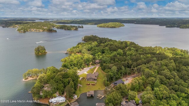 101 Mason Rd, Tallassee, AL 36078 - aerial view with a water view and a view of trees