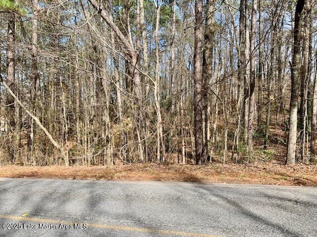 Listing photo 3 for 98ACRES County Rd 40, Jacksons Gap AL 36861