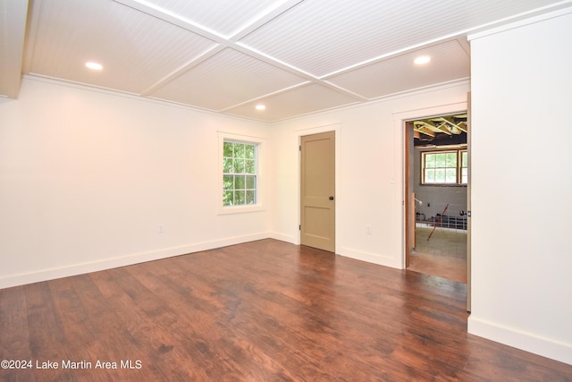 spare room with dark hardwood / wood-style floors, plenty of natural light, and crown molding