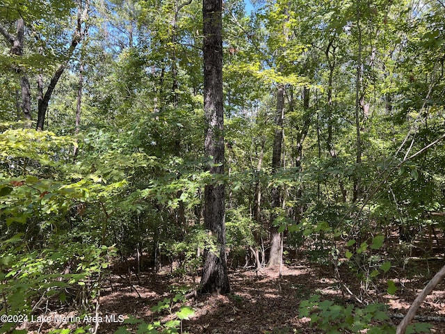 LOT20 Fern Ridge Dr, Dadeville AL, 36853 land for sale