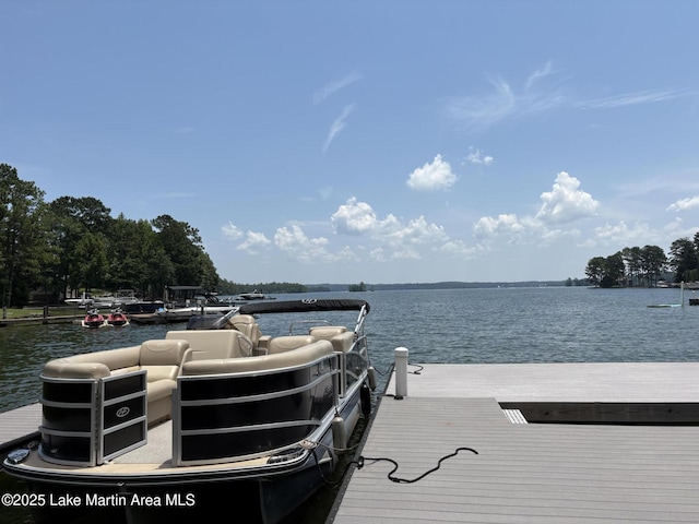 856 Windermere W Pkwy, Alexander City, AL 35010 - dock area with a water view