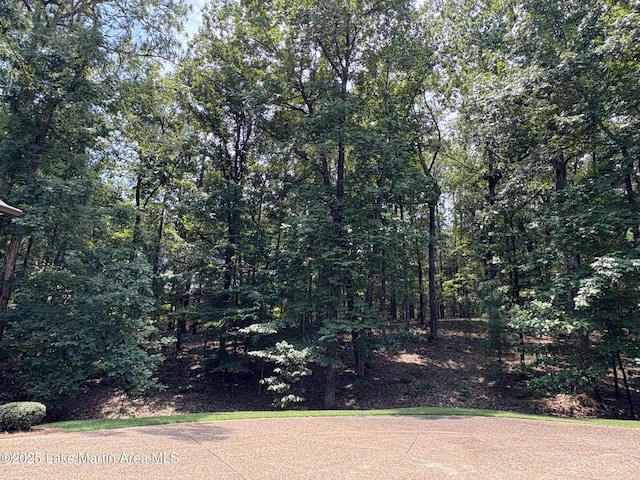 856 Windermere W Pkwy, Alexander City, AL 35010 - view of yard