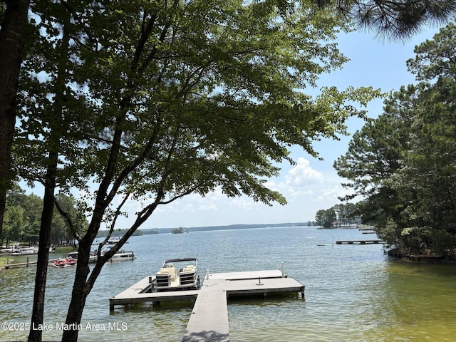 856 Windermere W Pkwy, Alexander City, AL 35010 - dock with a water view