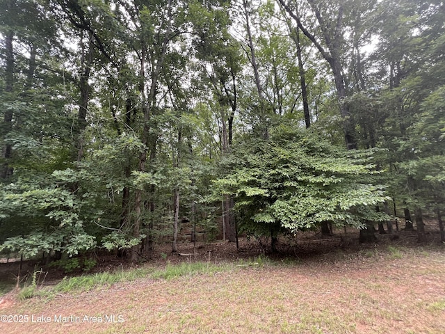 LOT20 Vista Wood Dr, Dadeville, AL 36853 - photo 3