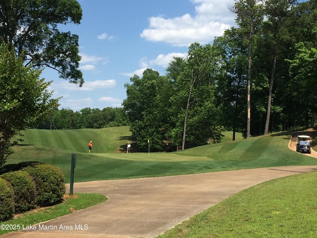 LOT20 Vista Wood Dr, Dadeville, AL 36853 - photo 9