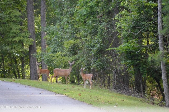 LOT20 Vista Wood Dr, Dadeville, AL 36853 - photo 15