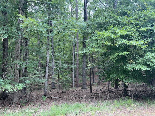 LOT20 Vista Wood Dr, Dadeville, AL 36853 - photo 1