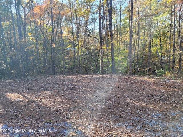 view of local wilderness