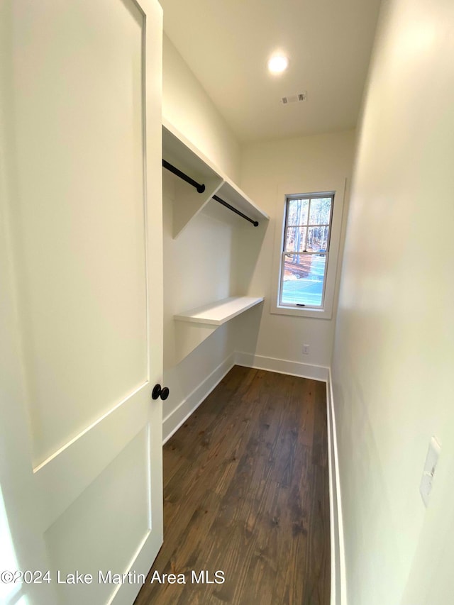 spacious closet featuring dark wood-type flooring