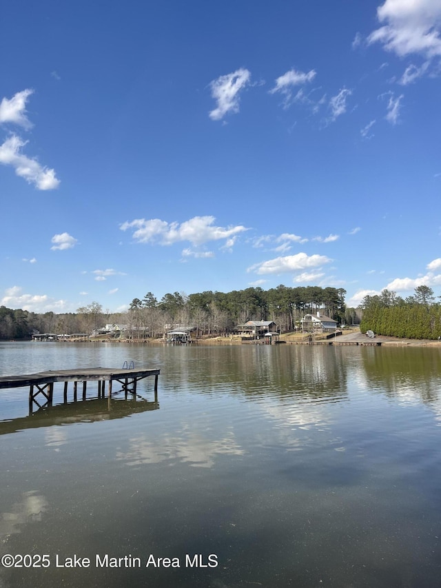 149 Lake Ridge Dr, Jacksons Gap, AL 36861 - view of dock featuring a water view