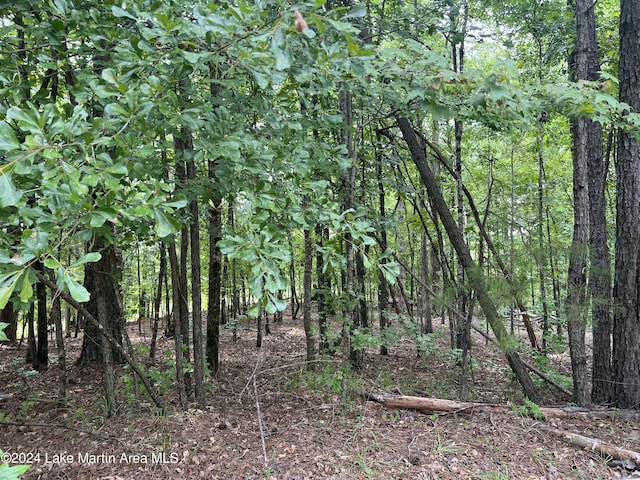 LOT3 Pineview Ln, Dadeville AL, 36853 land for sale