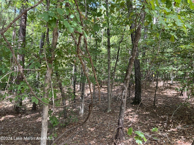 LOT50 Vista Wood Dr, Dadeville AL, 36853 land for sale