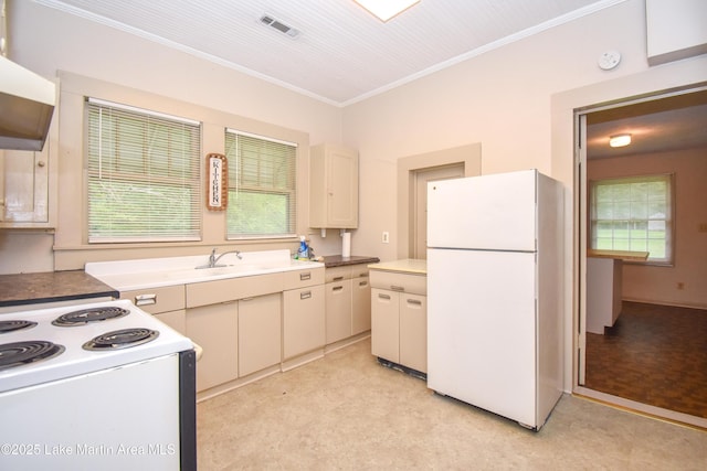 1330 Pearson Chapel Rd, Alexander City, AL 35010 - kitchen with white appliances, light floors, ornamental molding, extractor fan, and plenty of natural light