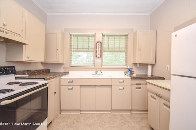 1330 Pearson Chapel Rd, Alexander City, AL 35010 - kitchen featuring white appliances, extractor fan, and ornamental molding