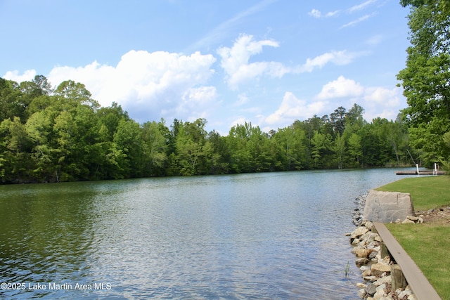 water view with a wooded view