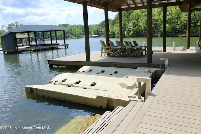 dock area with a water view