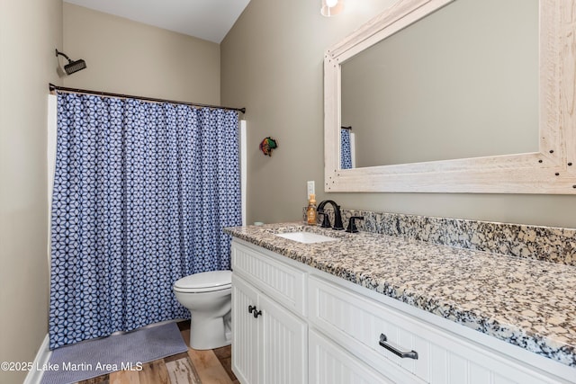 bathroom with walk in shower, toilet, vanity, and hardwood / wood-style flooring