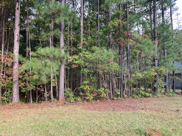 13 Stagecoach Rd, Dadeville AL, 36853 land for sale