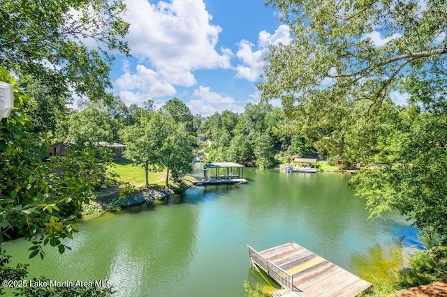 125 Nervous Gervis Dr, Jacksons Gap, AL 36853 - photo 11