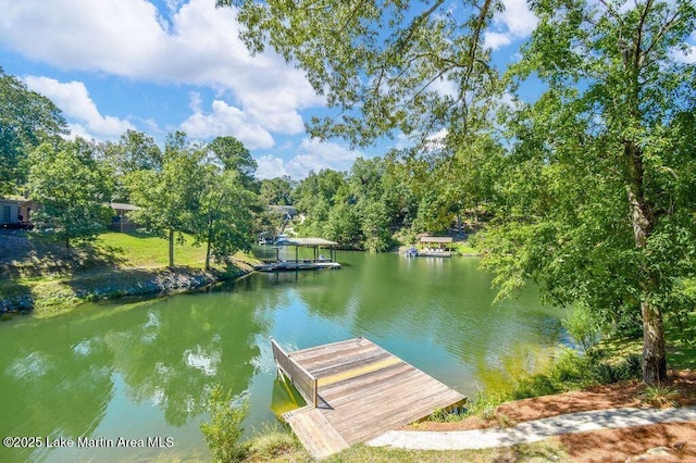 125 Nervous Gervis Dr, Jacksons Gap, AL 36853 - photo 33