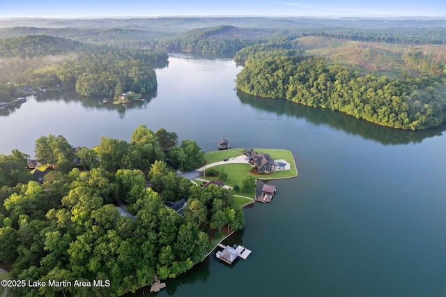 226 Tanglewood Ln, Dadeville, AL 36853 - photo 2