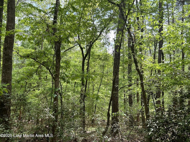 LOT47 Chinquapin Pass, Dadeville, AL 36853 - photo 2