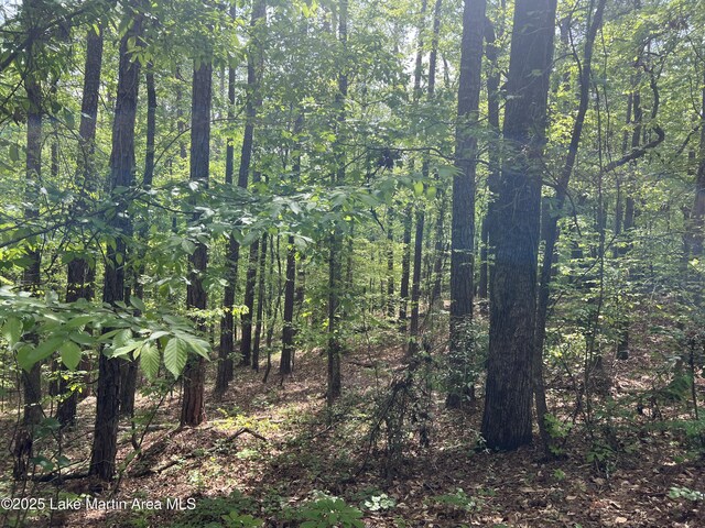 LOT47 Chinquapin Pass, Dadeville, AL 36853 - photo 1