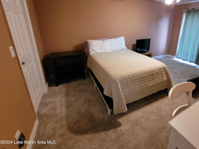 bedroom with carpet flooring and a closet