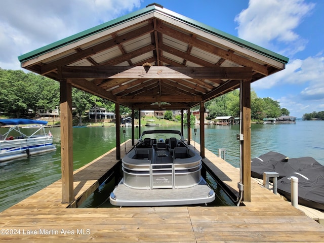 dock area with a water view