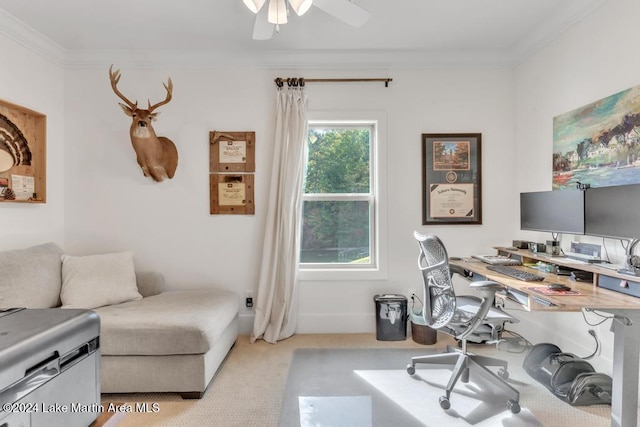 carpeted office space with ceiling fan and ornamental molding