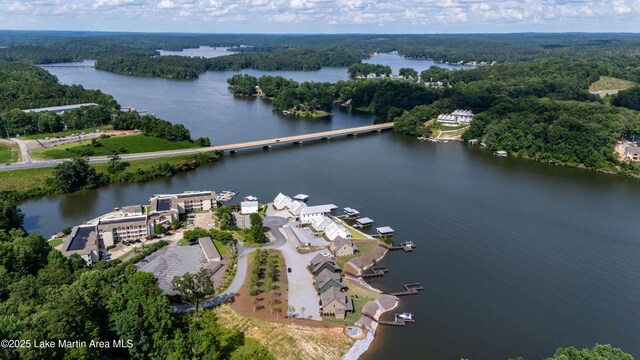 218 Williams Rd, Alexander City, AL 35010 - bird's eye view of a nearby body of water