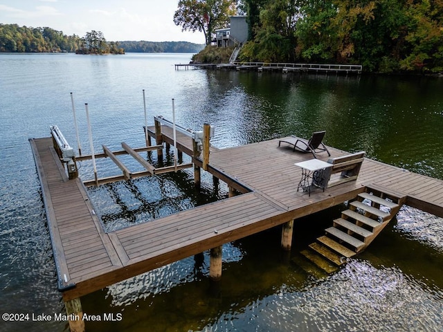 dock area with a water view