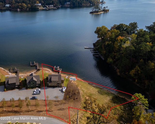218 Williams Rd, Alexander City, AL 35010 - drone / aerial view with a water view