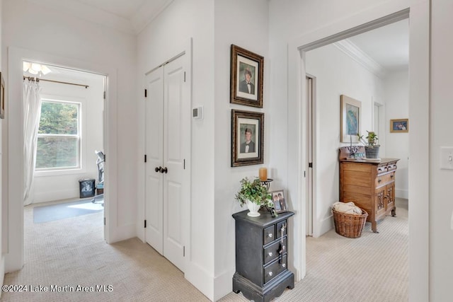 218 Williams Rd, Alexander City, AL 35010 - hallway with crown molding, baseboards, and light colored carpet