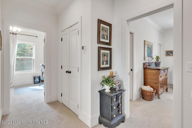 hall featuring light carpet and ornamental molding