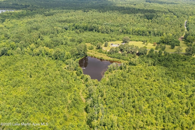 183 Griffin Shoals Rd, Dadeville, AL 36853 - photo 37