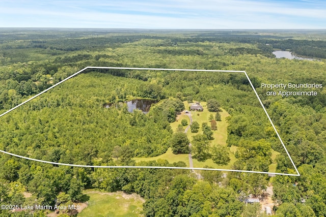 183 Griffin Shoals Rd, Dadeville, AL 36853 - photo 3