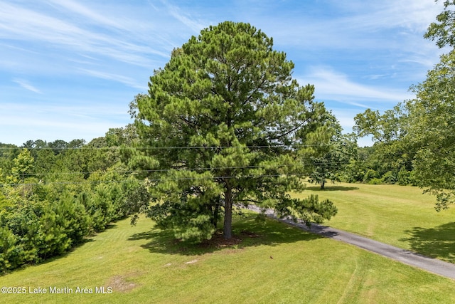 183 Griffin Shoals Rd, Dadeville, AL 36853 - photo 33
