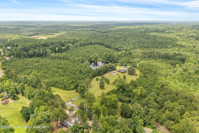 183 Griffin Shoals Rd, Dadeville, AL 36853 - photo 39