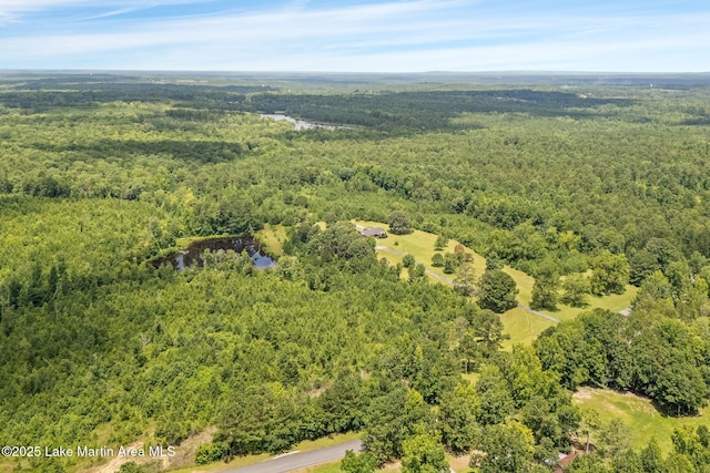 183 Griffin Shoals Rd, Dadeville, AL 36853 - photo 36
