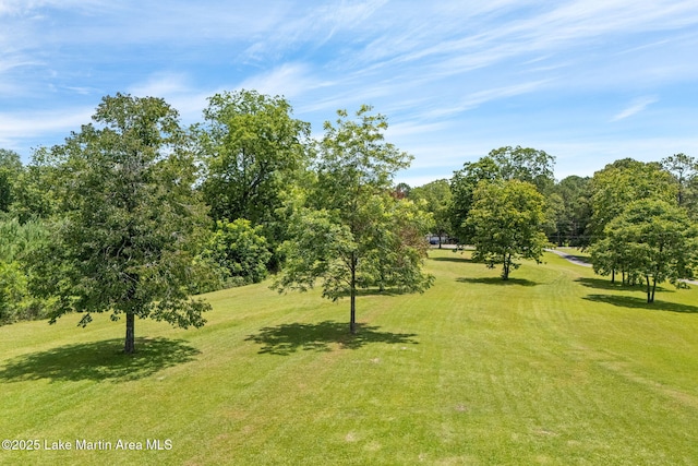 183 Griffin Shoals Rd, Dadeville, AL 36853 - photo 32