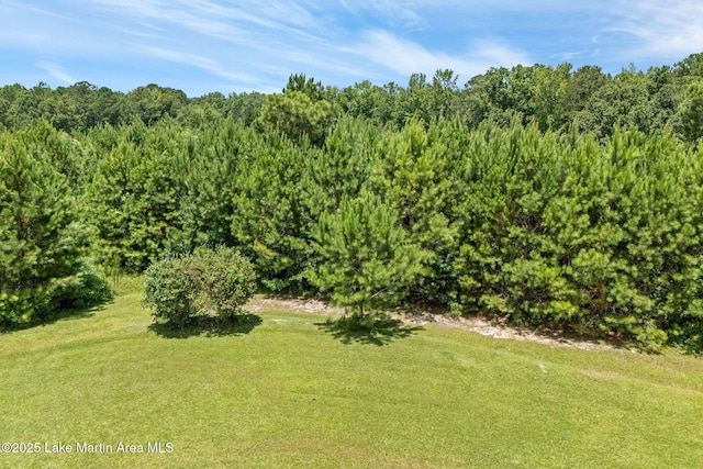 183 Griffin Shoals Rd, Dadeville, AL 36853 - photo 31