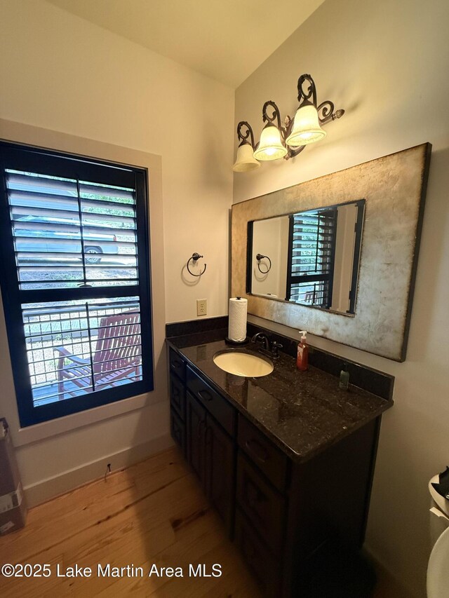 43 Shady Cv, Dadeville, AL 36853 - bathroom with wood finished floors, healthy amount of natural light, and vanity