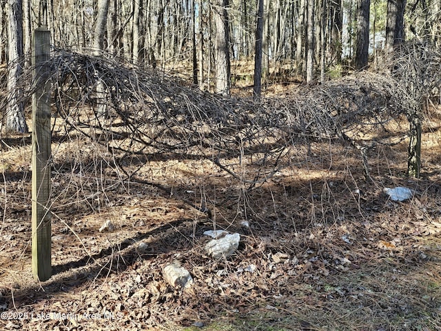 view of local wilderness