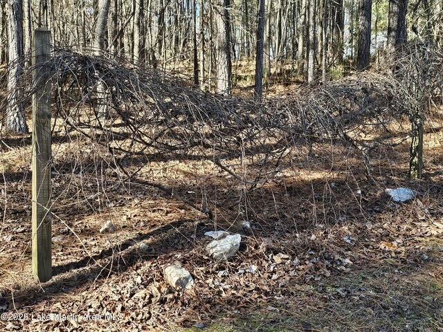 view of local wilderness